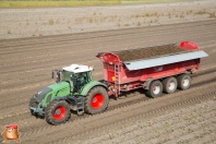 Harvesting potatoes