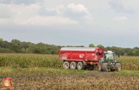 Harvesting potatoes