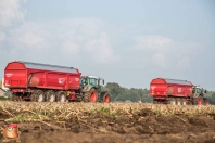 Kartoffelroden bei van den Borne Aardappelen.