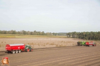 Kartoffelroden bei van den Borne Aardappelen.