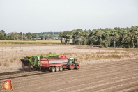 Kartoffelroden bei van den Borne Aardappelen.