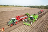 Kartoffelroden bei van den Borne Aardappelen.