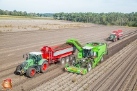 Kartoffelroden bei van den Borne Aardappelen.