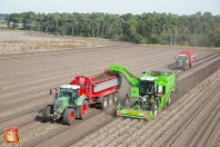 Kartoffelroden bei van den Borne Aardappelen.