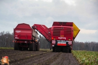 Rübenroden bei van den Borne aardappelen