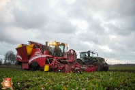 Sugar beets harvest at van den Borne aardappelen