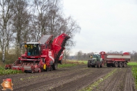 Bieten rooien door loonbedrijf van Eijck