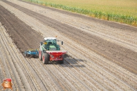 Cultiveren bij van den Borne aardappelen