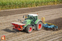 Grubbern bei van den Borne aardappelen