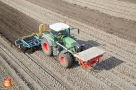 Grubbern bei van den Borne aardappelen