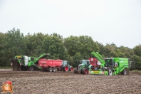 Kartoffelroden bei van den Borne Aardappelen.