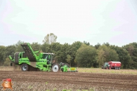 Kartoffelroden bei van den Borne Aardappelen.