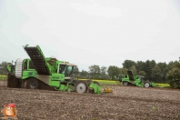 Kartoffelroden bei van den Borne Aardappelen.