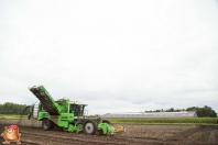 Kartoffelroden bei van den Borne Aardappelen.