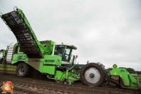 Kartoffelroden bei van den Borne Aardappelen.