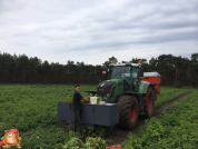 Stage ervaringen Lars Horsten bij van den Borne aardappelen