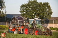 Beregnen bei van den Borne aardappelen