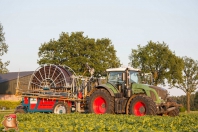 Beregnen bei van den Borne aardappelen