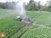 Beregnen bei van den Borne aardappelen