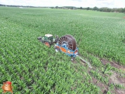 Irrigate