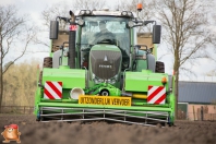 Planting potatoes