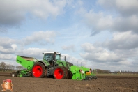 Planting potatoes