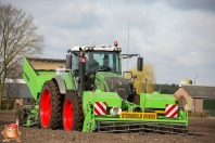 Planting potatoes