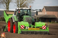 Planting potatoes