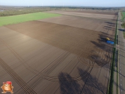 Gülleausbringung bei van den Borne aardappelen