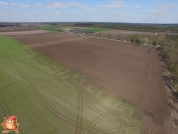 Gülleausbringung bei van den Borne aardappelen