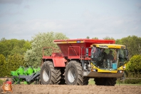 Planting potatoes