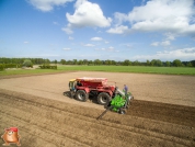 Planting potatoes