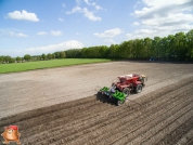 Planting potatoes