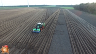 Planting potatoes