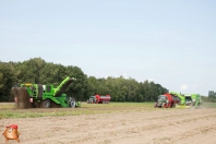 Harvesting potatoes