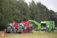 Harvesting potatoes