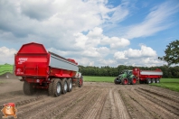 Harvesting potatoes