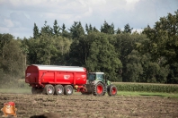 Harvesting potatoes