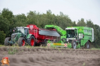 Kartoffelroden bei van den Borne Aardappelen.