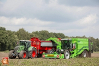 Kartoffelroden bei van den Borne Aardappelen.