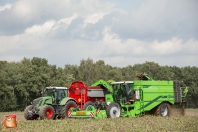 Kartoffelroden bei van den Borne Aardappelen.