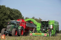 Kartoffelroden bei van den Borne Aardappelen.