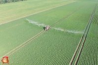 Beregnen bei van den Borne aardappelen