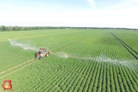 Beregnen bei van den Borne aardappelen