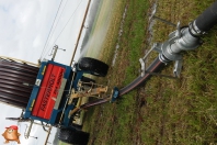 Beregnen bei van den Borne aardappelen