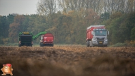 Harvesting potatoes