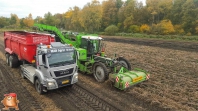 Harvesting potatoes