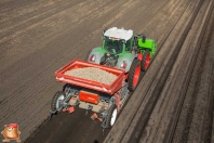 Planting potatoes