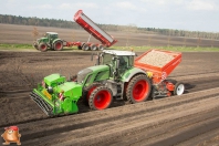 Planting potatoes