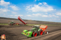 Planting potatoes